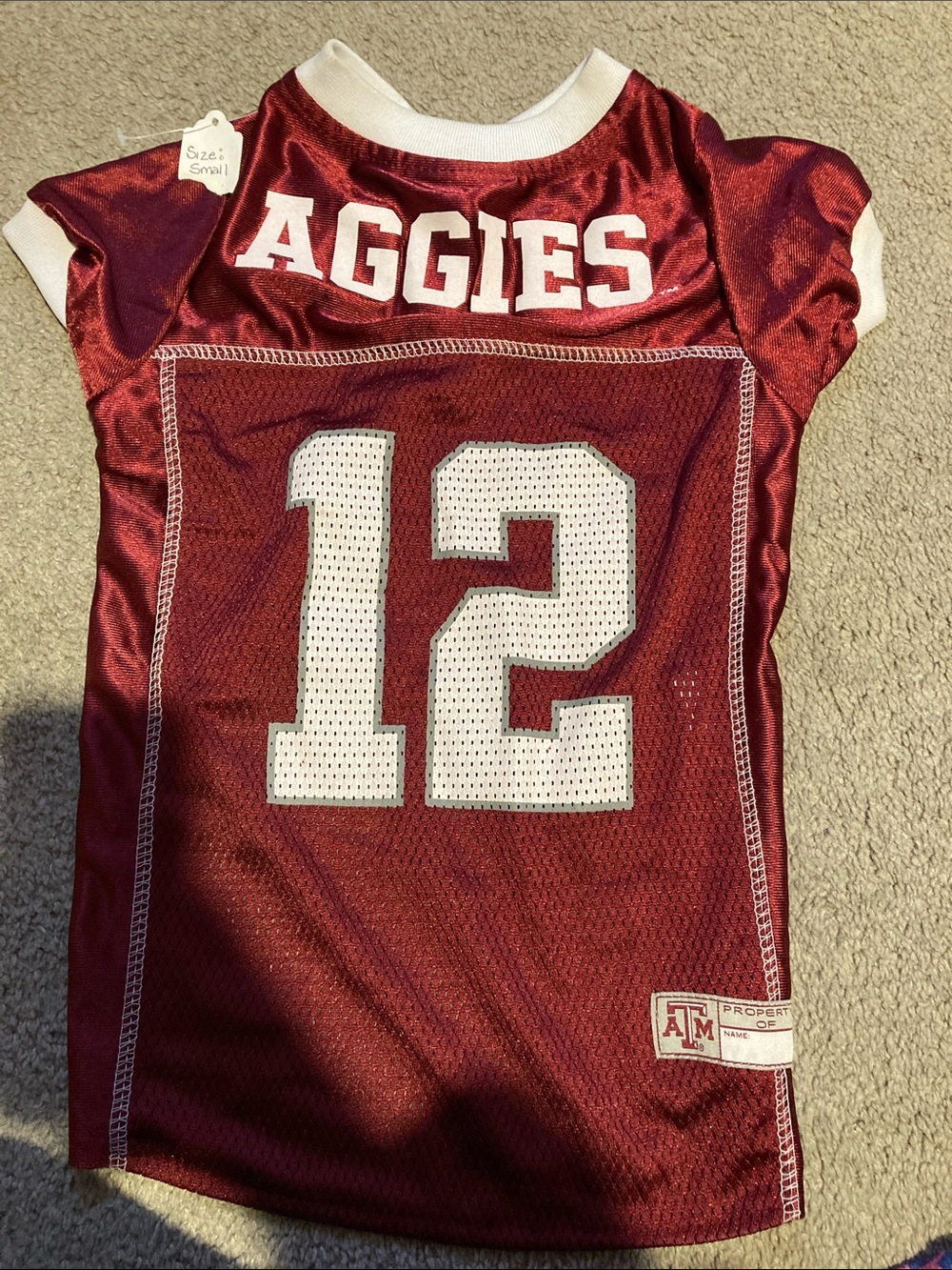 Dog football Jersey